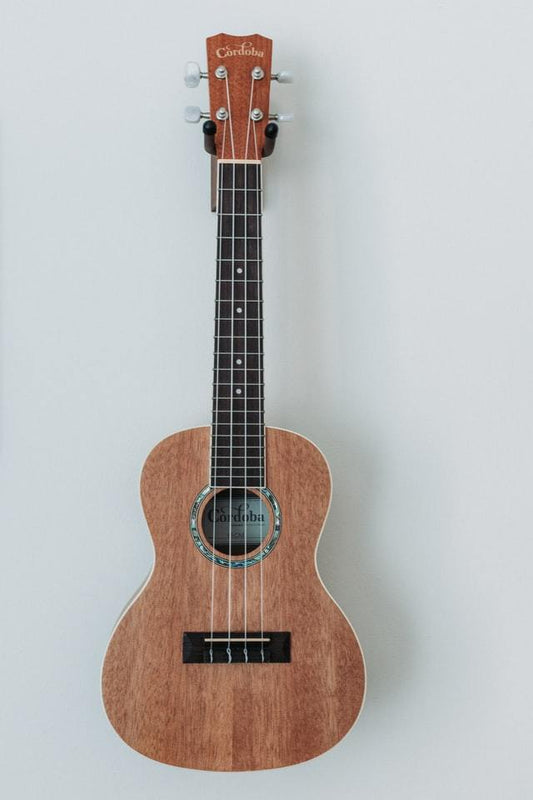 Acoustic Guitar, 37 Inch Cutaway, 025D